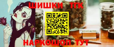 тгк Партизанск
