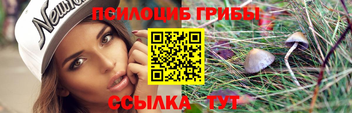 Галлюциногенные грибы Cubensis  Вход с VPN  Тольятти 